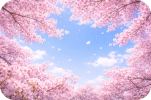 桜